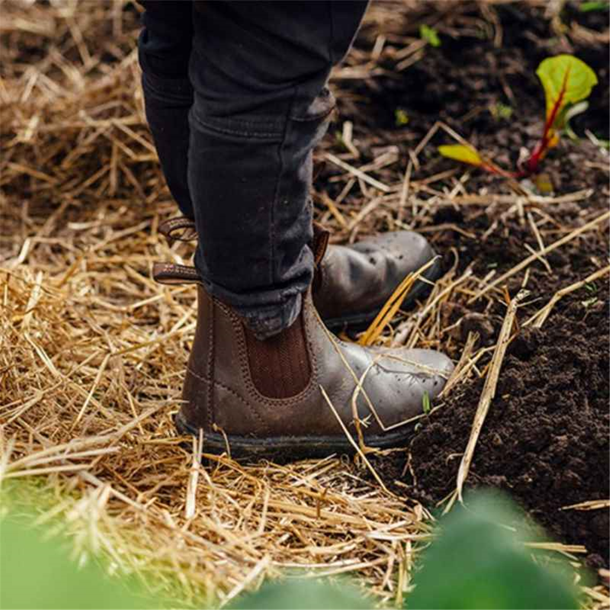 Blundstone 630 Kids Boots