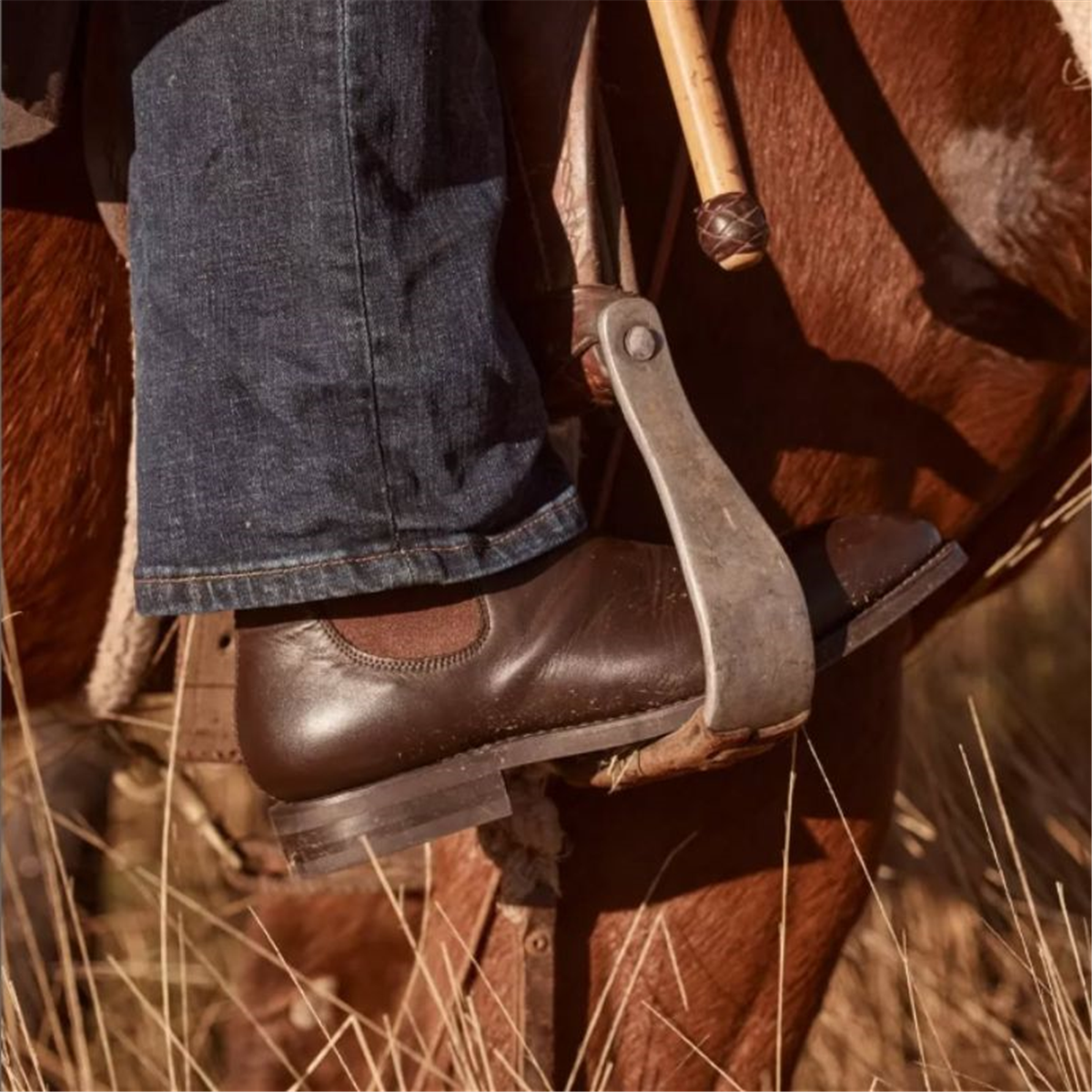 Rossi Style 503 The Kidman- Brown