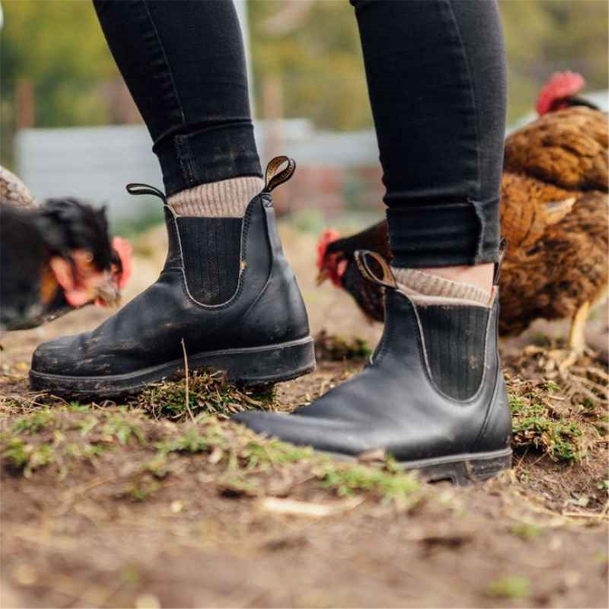 Blundstone 610 Unisex Work Boots - Black