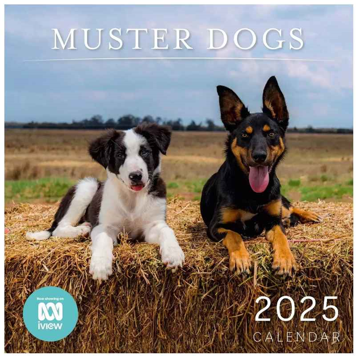 2025 Muster Dogs Wall Calendar