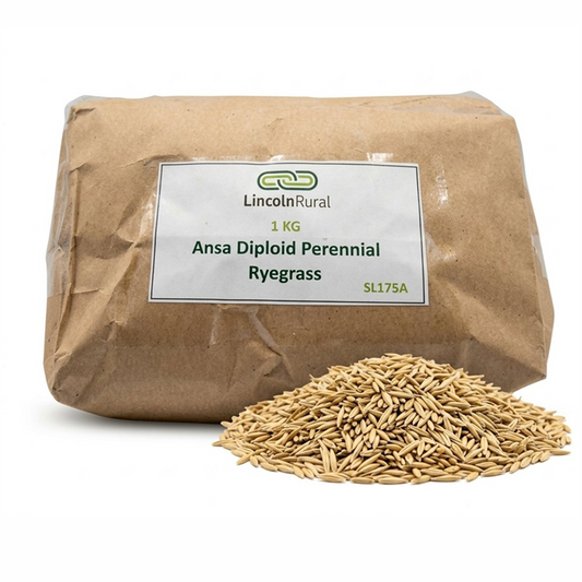 Ryegrass - Ansa Ar1 -  Diploid Perennial 1kg
