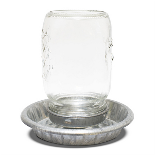 Bainbridge Galvanised Chick Drinker with Glass Mason Jar  1L