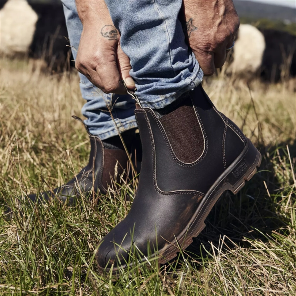 Mongrel K9-1 Elastic Sided Boot - Claret