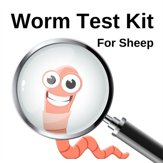 Worm Test Kit - Sheep